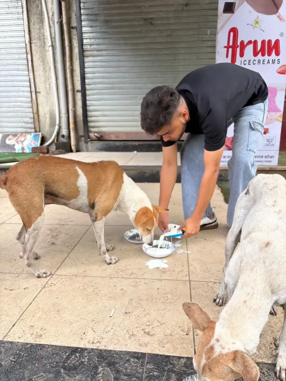 Street Dog & Cat Feeding & Nourishment Drive